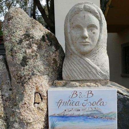 Antica Isola Bed & Breakfast Olbia Ngoại thất bức ảnh