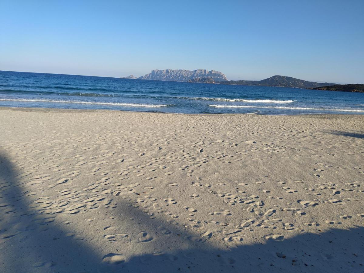 Antica Isola Bed & Breakfast Olbia Ngoại thất bức ảnh