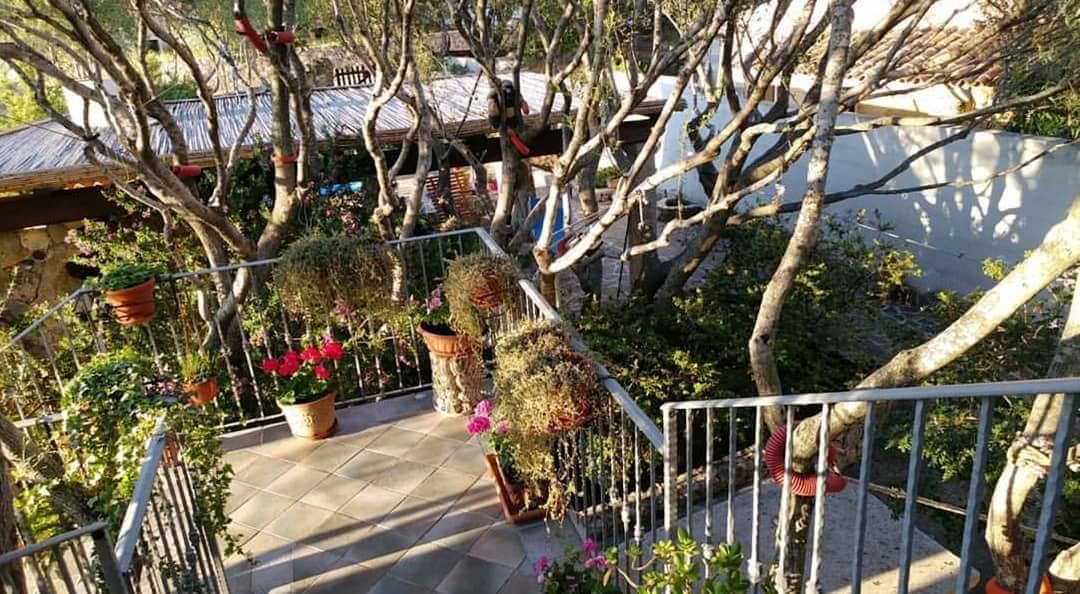 Antica Isola Bed & Breakfast Olbia Ngoại thất bức ảnh